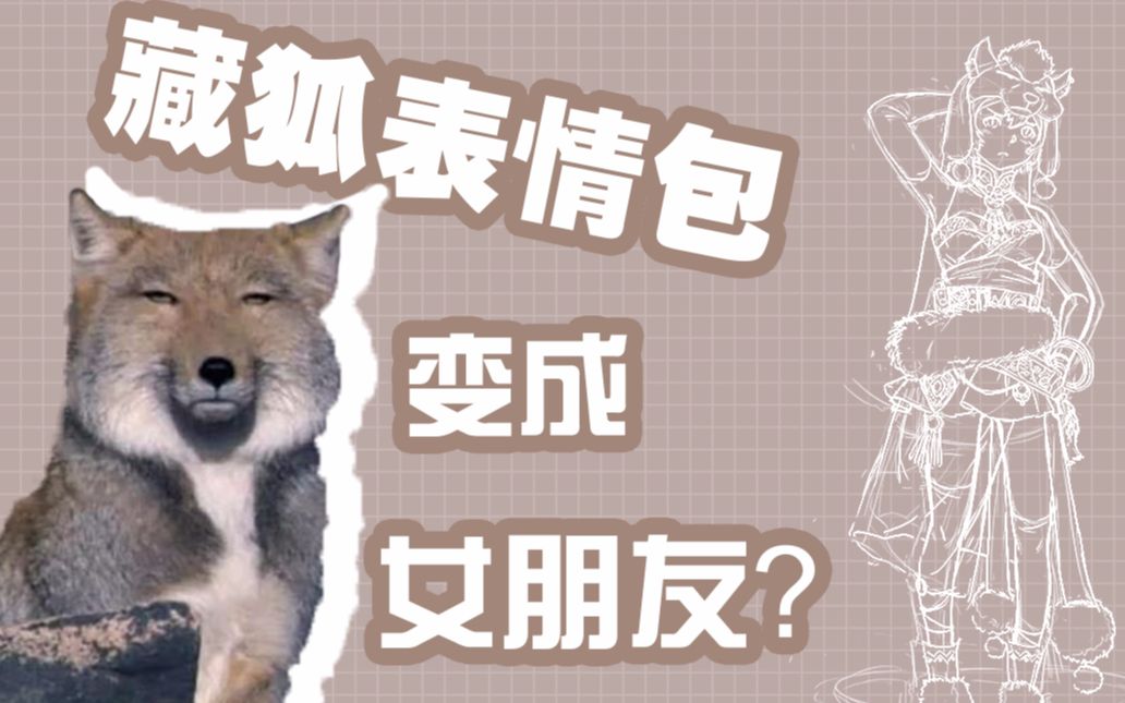 【绘画必看】直播!把藏狐表情包画成女朋友!