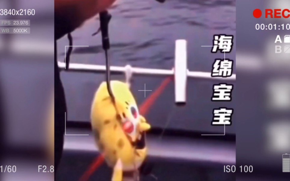 满级人类搞笑视频合集-晚安搞笑视频-晚安搞笑视频-哔哩哔哩视频
