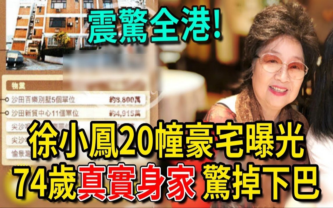 徐小凤20幢豪宅曝光,真实身家震惊全网,难怪刘德华、周润发见到她都得下跪哔哩哔哩bilibili