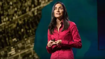 【TED 中英字幕】女性是怎样发起非暴力冲突的