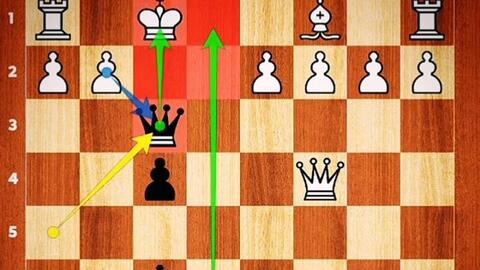 Hikaru Beats Chess Mittens Bot⁉️ ##chess##chesstok##chesstrick