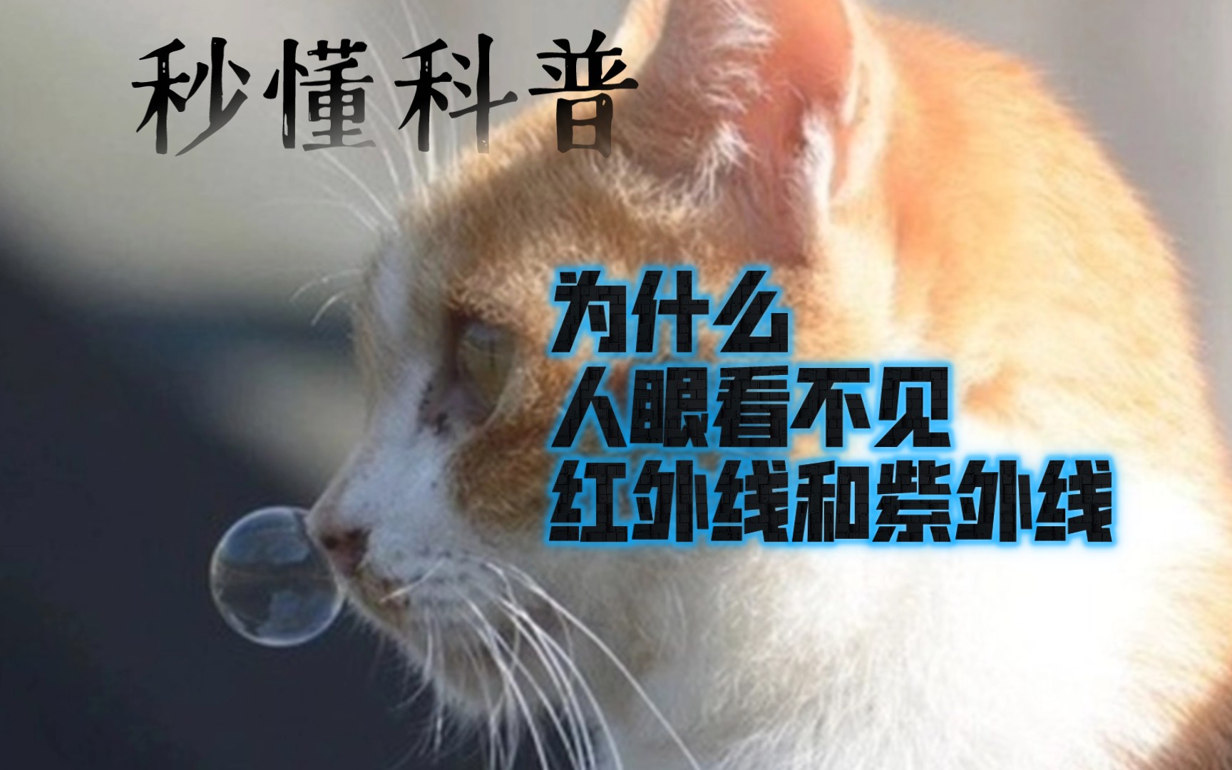 猎奇科普:为什么人眼看不见红外线和紫外线?哔哩哔哩bilibili