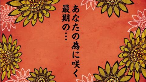 停電少女と羽虫のオーケストラ 一輪花 哔哩哔哩