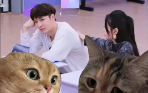 Download Video: 【猫meme】《百分百出品》里的两个小可怜【张艺兴】