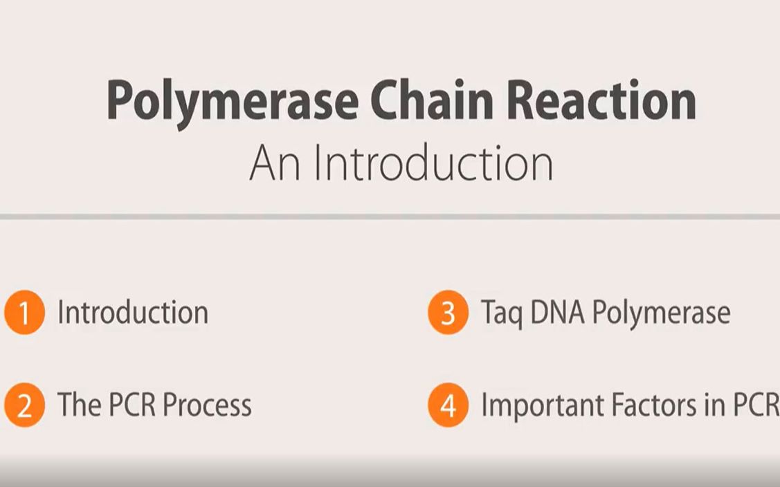 PCR(聚合酶链反应)教程简介01哔哩哔哩bilibili