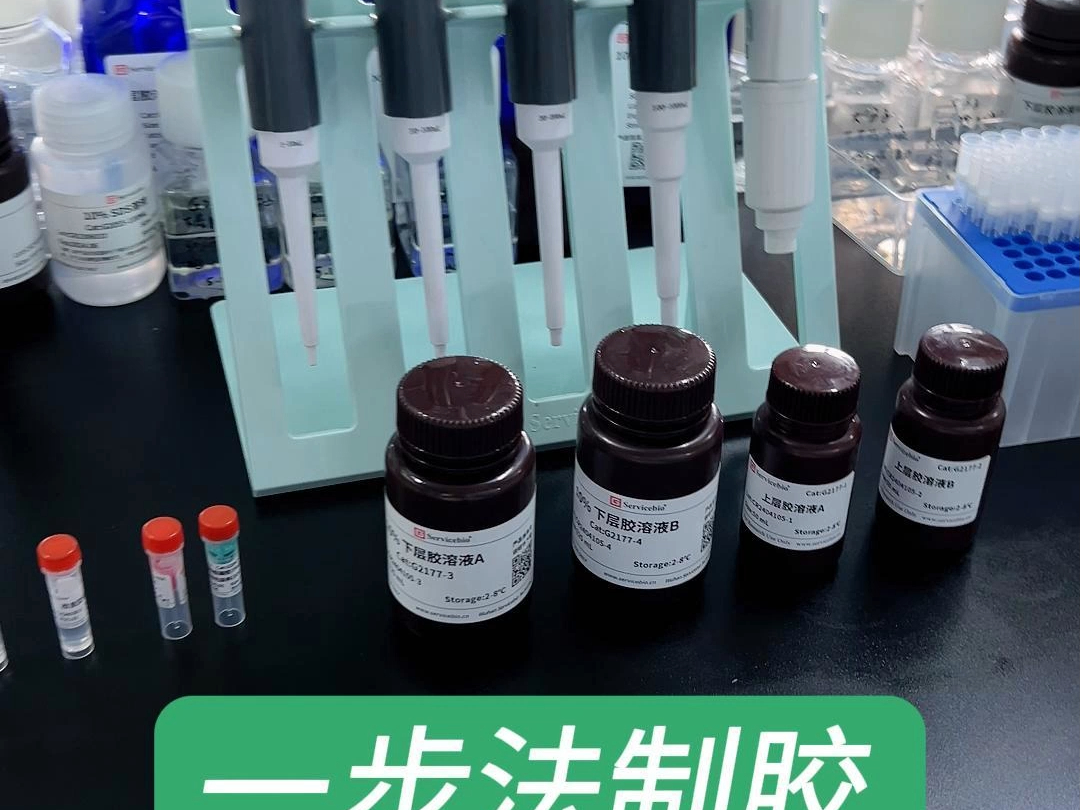 赛维尔一步法制胶试剂盒,20分钟超快制胶!哔哩哔哩bilibili