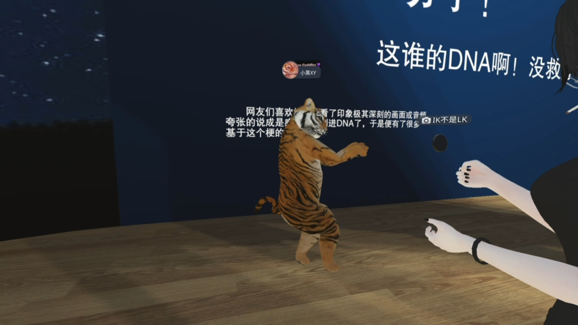 在vrc中文梗博物馆遇到刀哥了