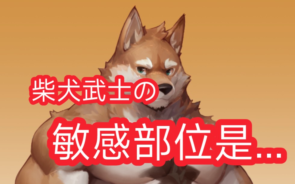 [图]【Furrybar】柴犬武士的身♂体♂检♂查