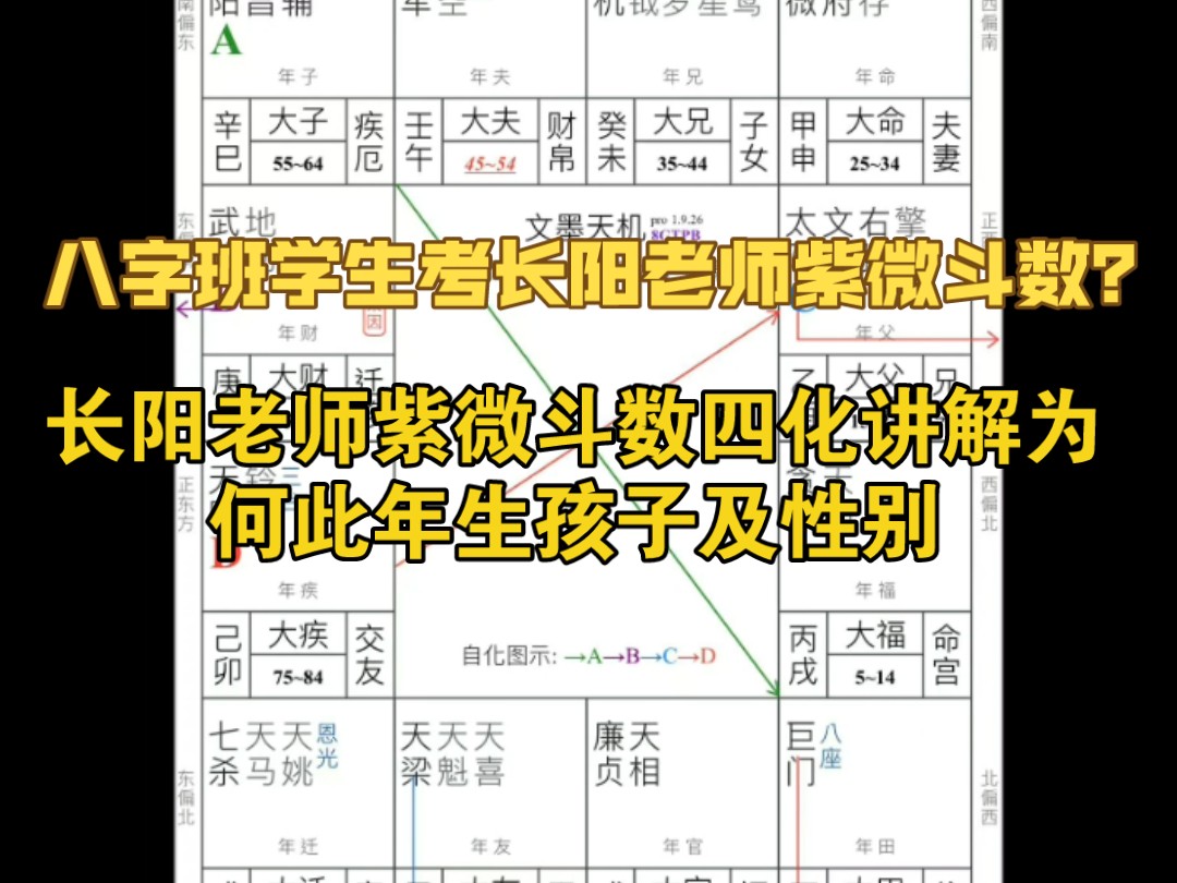 八字班学生考长阳老师紫微斗数 老师解析为何此年会生孩子及性别哔哩哔哩bilibili