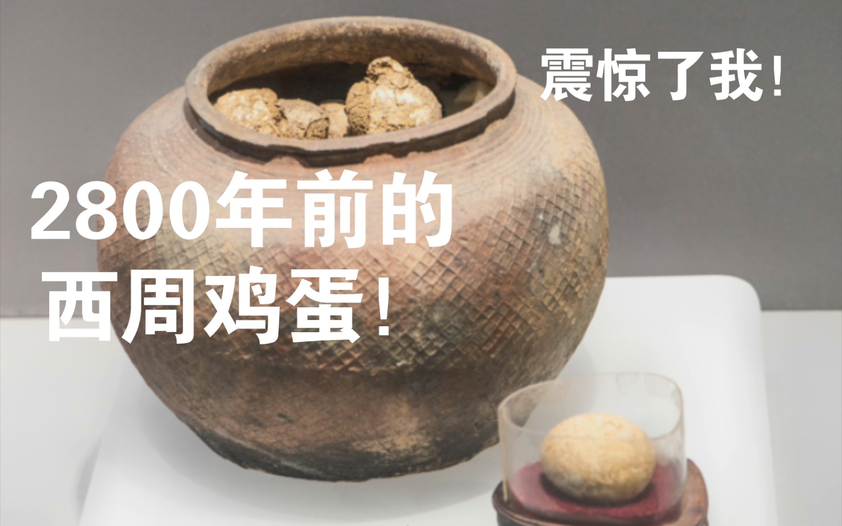 [图]2800年前的西周鸡蛋，我太震惊了！