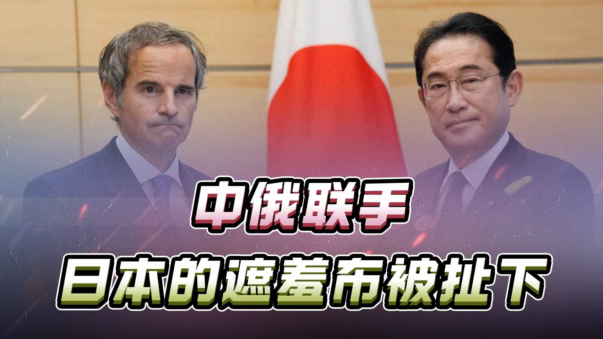 中方停止缴纳会费,俄紧跟脚步,原子能机构或停摆,日本脸面被扯哔哩哔哩bilibili