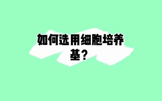 知道怎么选择合适自己所养的细胞的培养基吗?选错了可能你的细胞就存活不了噢#细胞#细胞培养哔哩哔哩bilibili