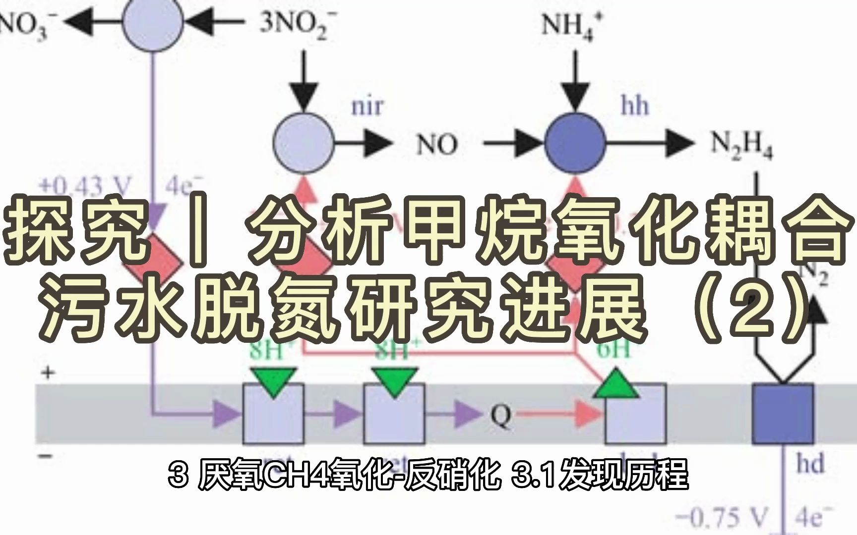 探究 | 分析甲烷氧化耦合 污水脱氮研究进展(2)哔哩哔哩bilibili