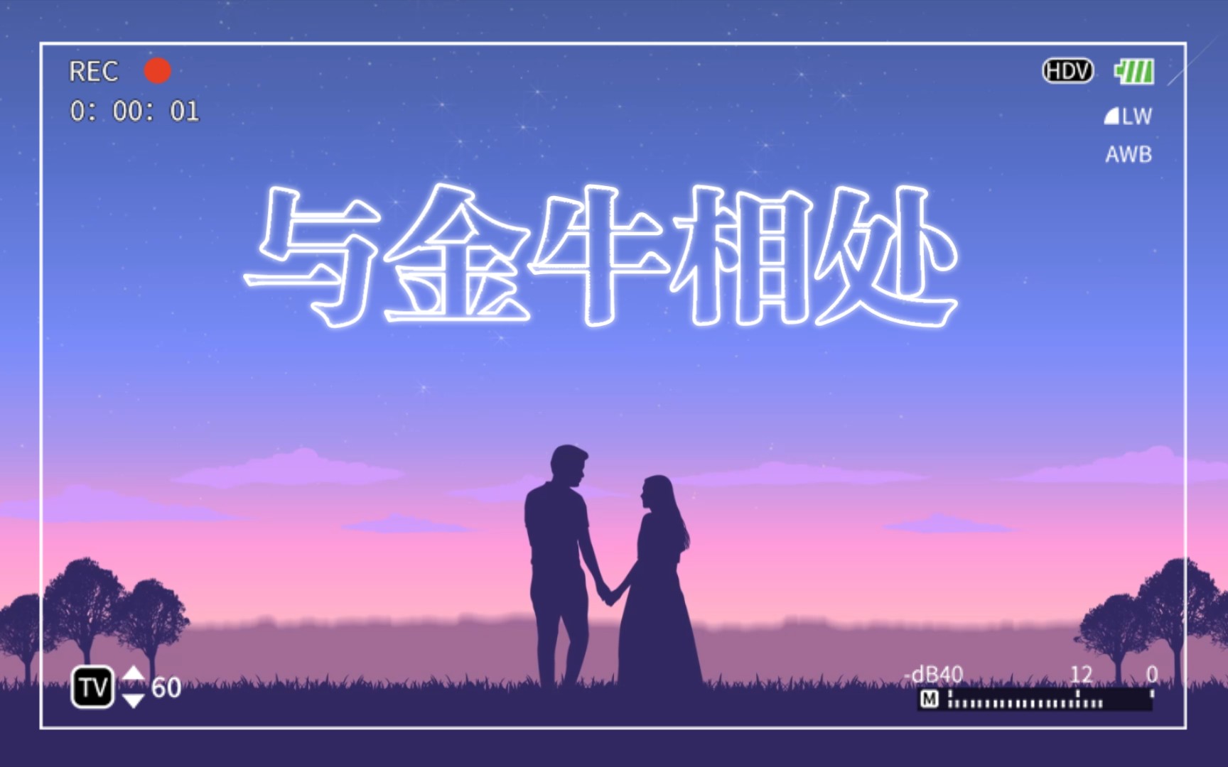 与金牛怎么相处!哔哩哔哩bilibili