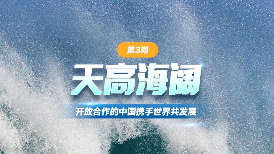 推进高水平开放要处理好哪三大关系?听#高质量发展故事汇 解读!哔哩哔哩bilibili