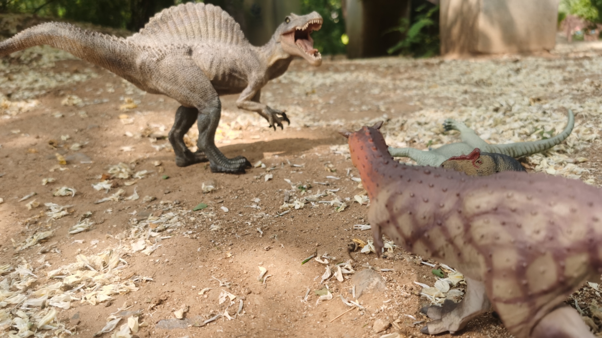 三只恐龙因为食物而打起来了