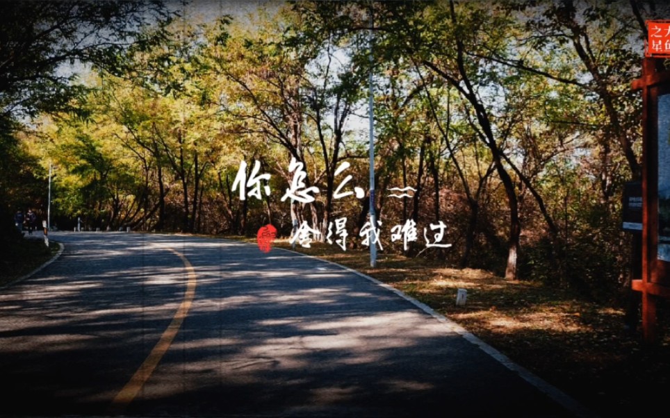 曹芙嘉《你怎么舍得我难过》