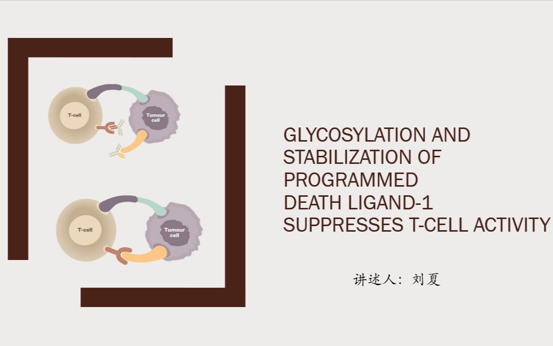 个人报告——刘夏——PD1糖基化及其稳定性抑制T细胞活性哔哩哔哩bilibili
