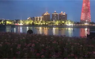 迷彩背景 搜索结果 哔哩哔哩 Bilibili