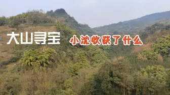 大山寻宝记，猜猜小沈收获了什么