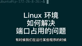 Linux 环境如何快速解决端口占用的问题？