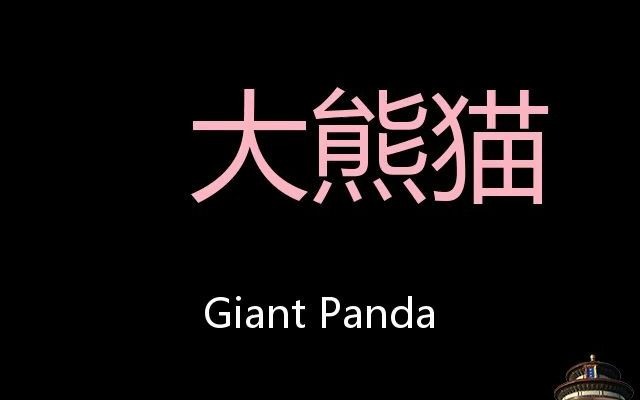 大熊猫 Chinese Pronunciation Giant Panda哔哩哔哩bilibili