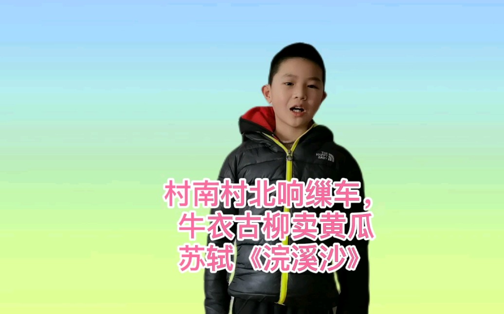 苏轼《浣溪沙》哔哩哔哩bilibili