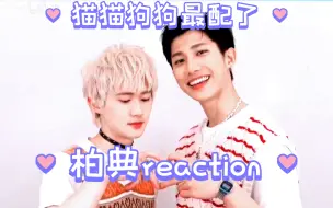 【陈艾/柏典reaction】🥰可可爱爱的小ql