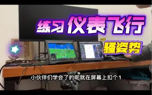 Download Video: 【EA TECH】练习仪表飞行的骚姿势