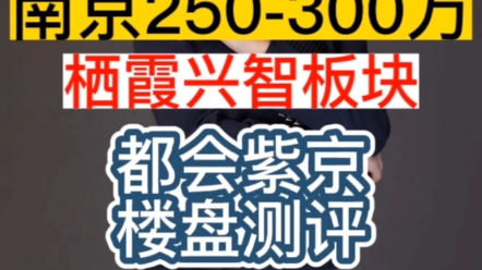 南京250到300w栖霞兴智板块—都会紫京楼盘测评哔哩哔哩bilibili