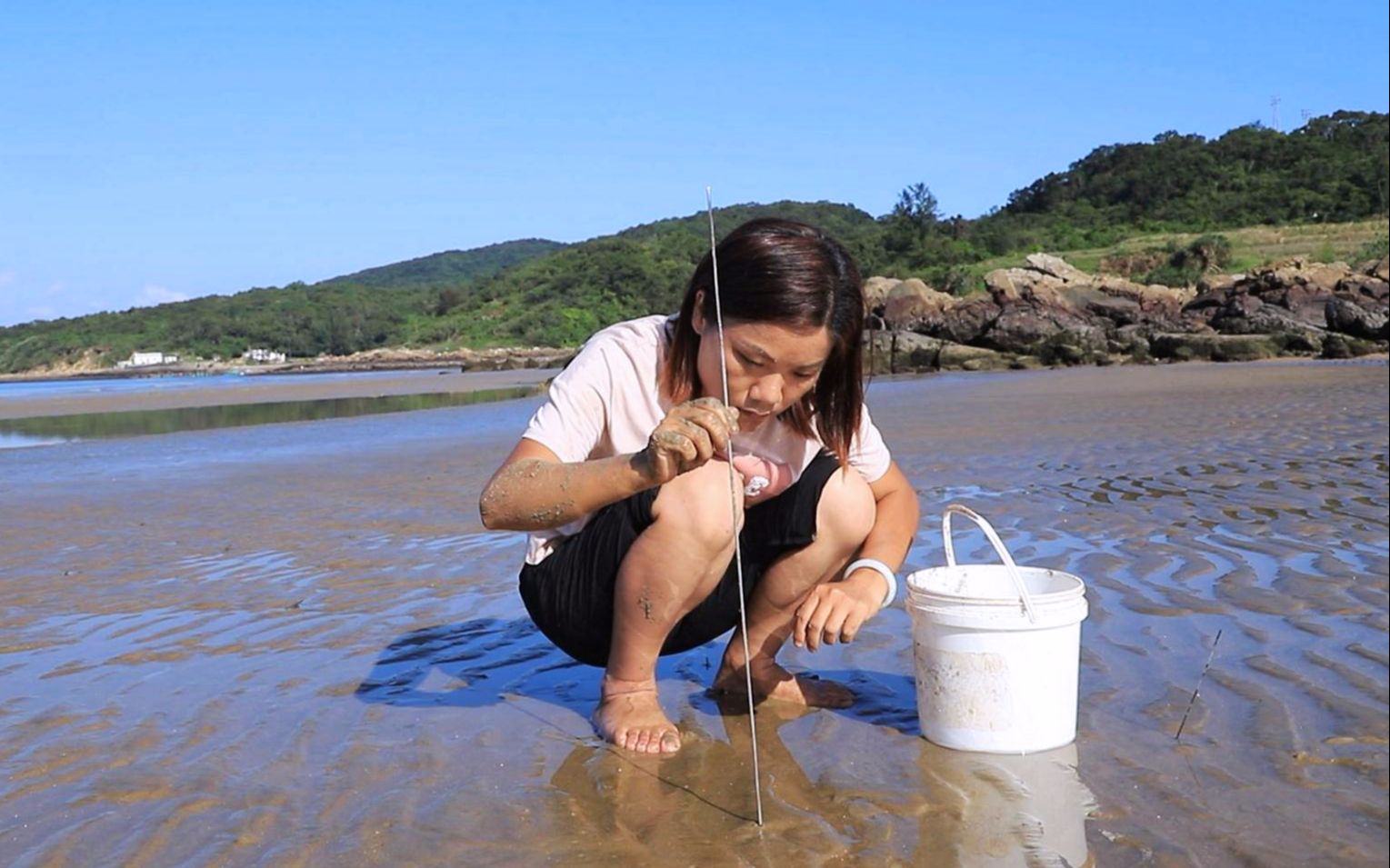 渔民赶海去钓沙贝有技术就是不一样一根铁丝下去海鲜就上钩了