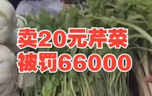 Download Video: 陕西回应卖20元芹菜被罚6万6：过罚不当！