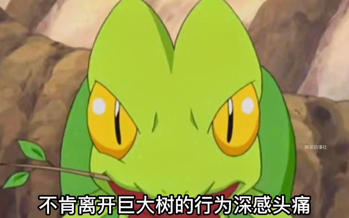 小智在芳缘地区收服的第二只神奇宝贝木守宫!