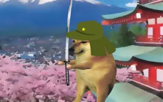 日本整狗企划 哔哩哔哩 Bilibili