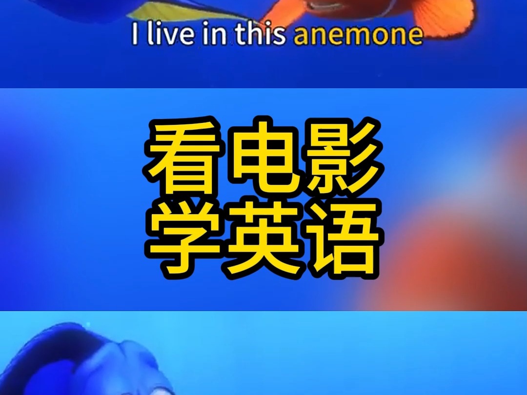 看电影学英语之小丑鱼03集