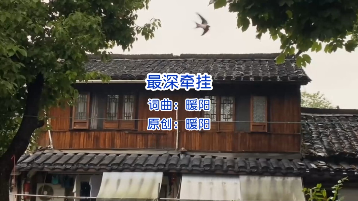 歌曲《牵挂》(歌曲牵挂伍佰歌词)