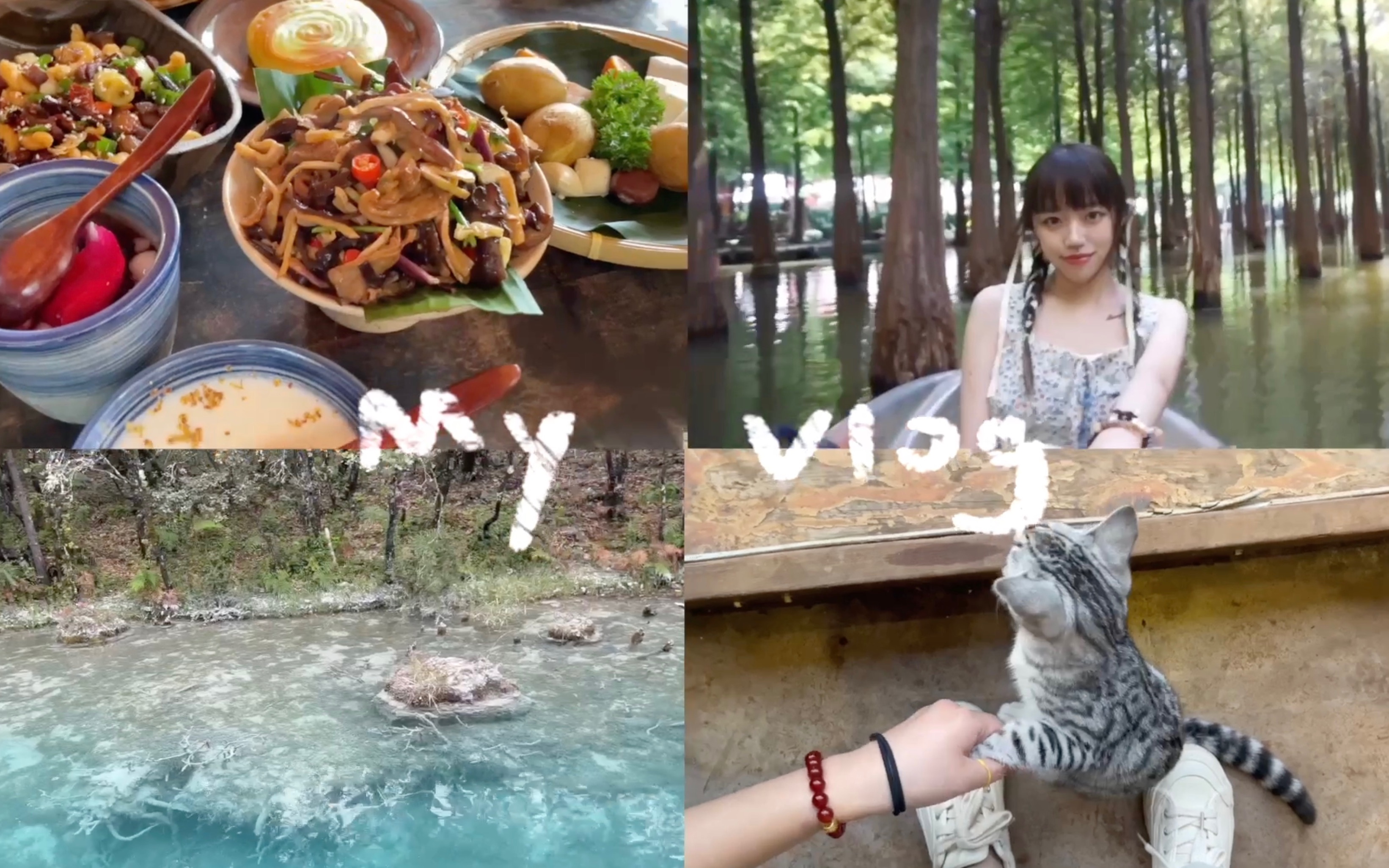 vlog | 云南 | 昆明丽江 | 湿地公园 | 束河古镇哔哩哔哩bilibili