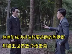 林楠笙成功抓住想要逃跑的陈默群，却被王世安放冷枪击毙