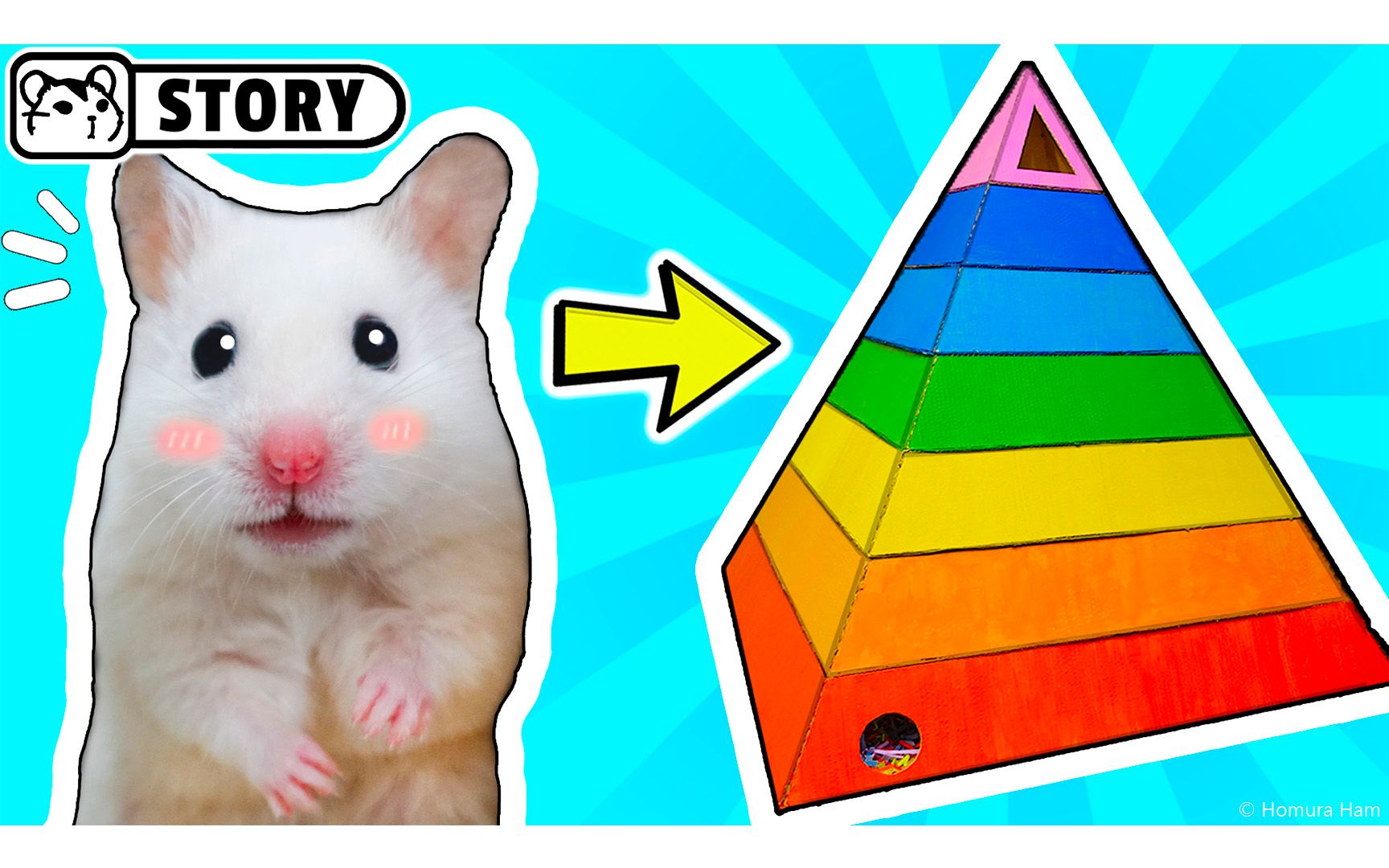 彩虹金字塔仓鼠迷宫 91 homura ham