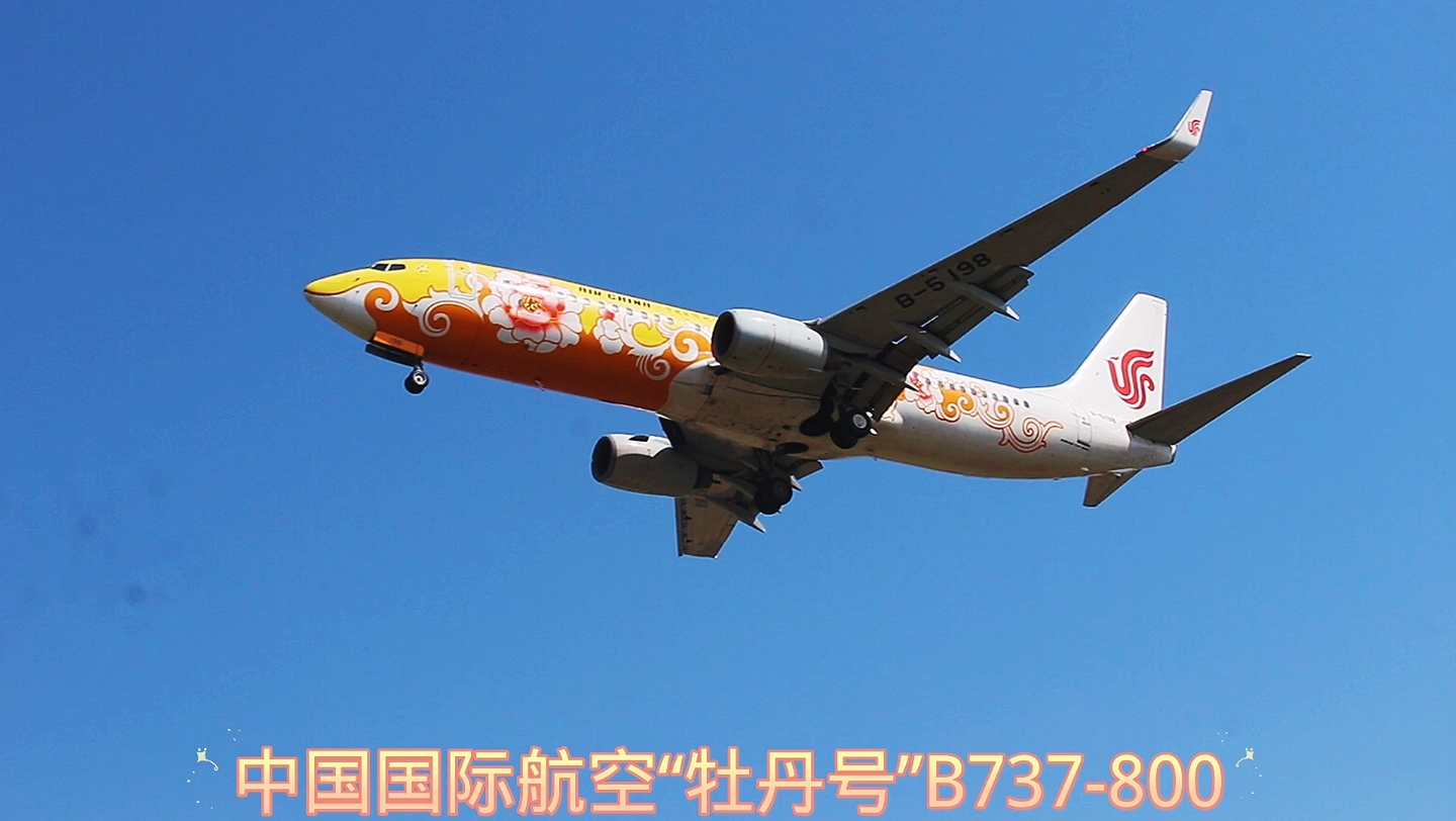 国航"牡丹号"波音737-800降落_哔哩哔哩_bilibili