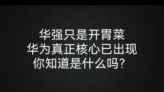 Télécharger la video: 华强只是开胃菜，华为真正核心已出现，你知道是什么吗？