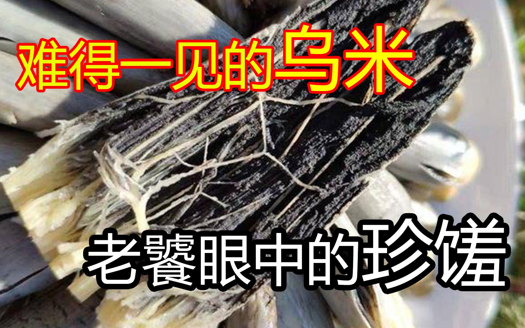 [图]二十年前常见的乌米，为何越来越少了？粮食病害何以成为老饕眼中至上珍馐？