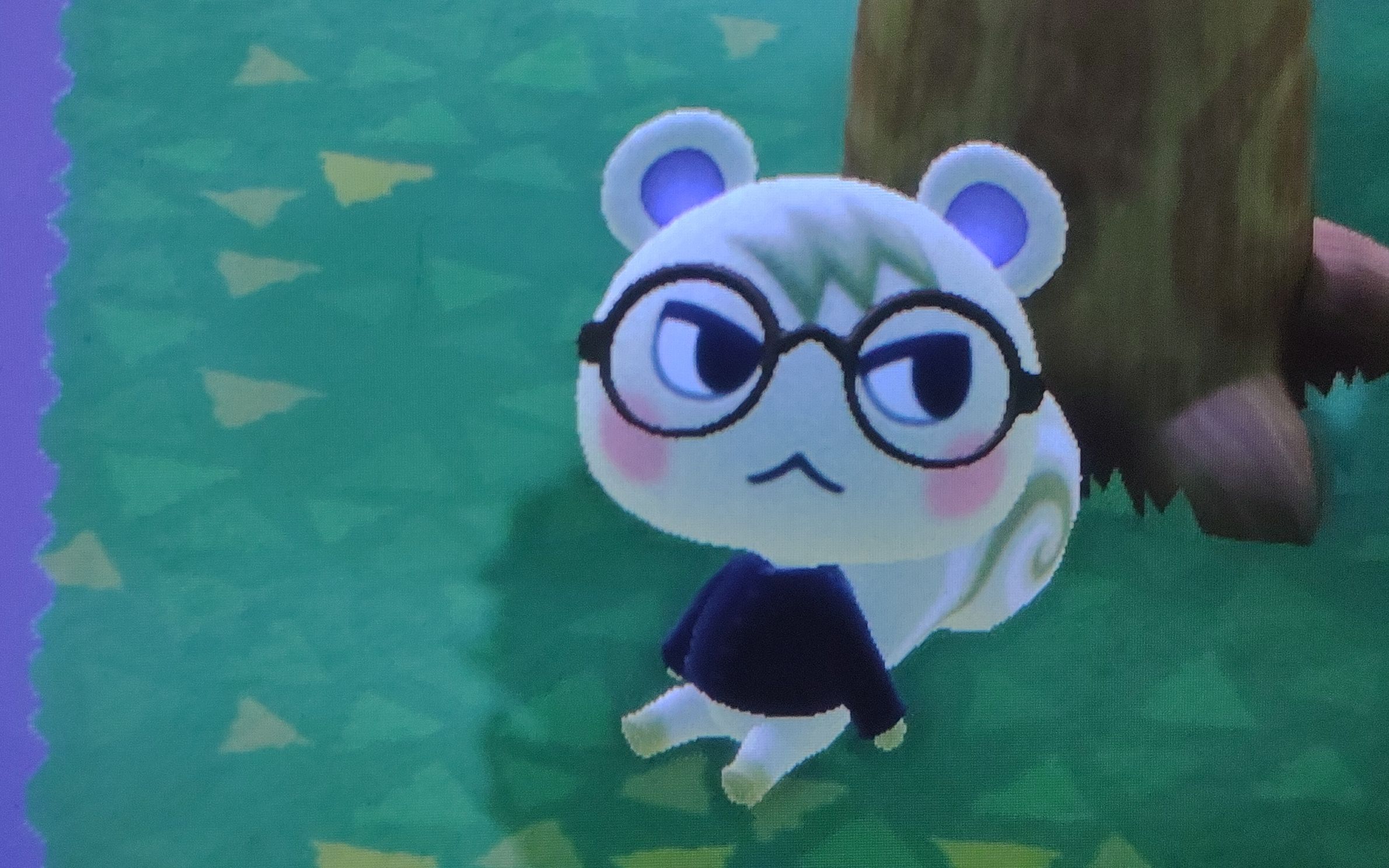 【动森日常】河边学习唱新歌的小润