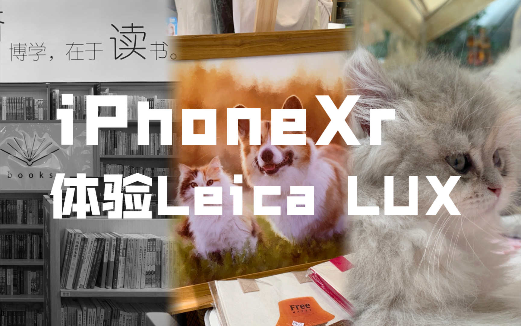 使用分享|老款iPhone体验徕卡可乐标(Leica LUX)哔哩哔哩bilibili