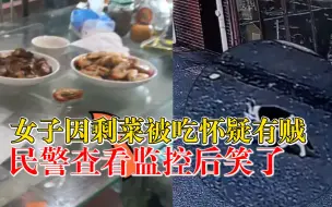 Tải video: 女子因剩菜被吃怀疑有贼进家报警，民警查看监控后笑了