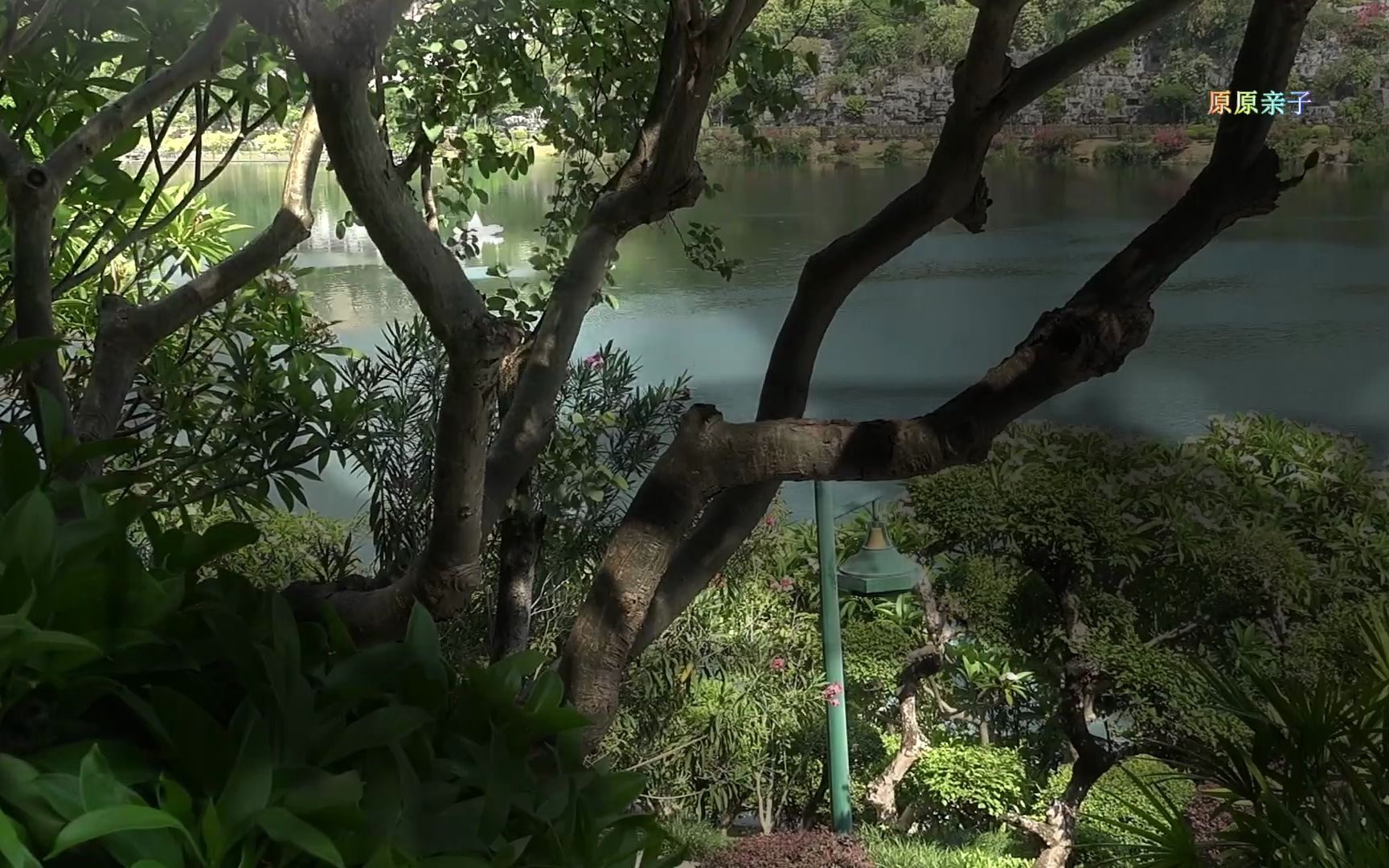 richard clayderman名曲 水边的阿狄丽娜