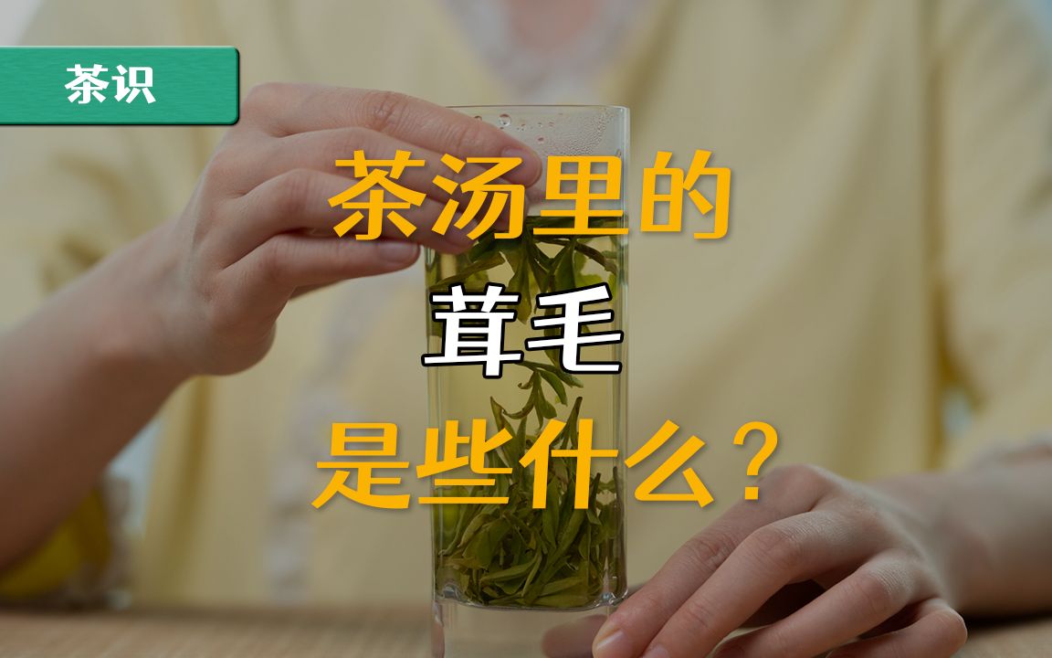 [图]为什么你的茶汤里会有这么多茸毛？