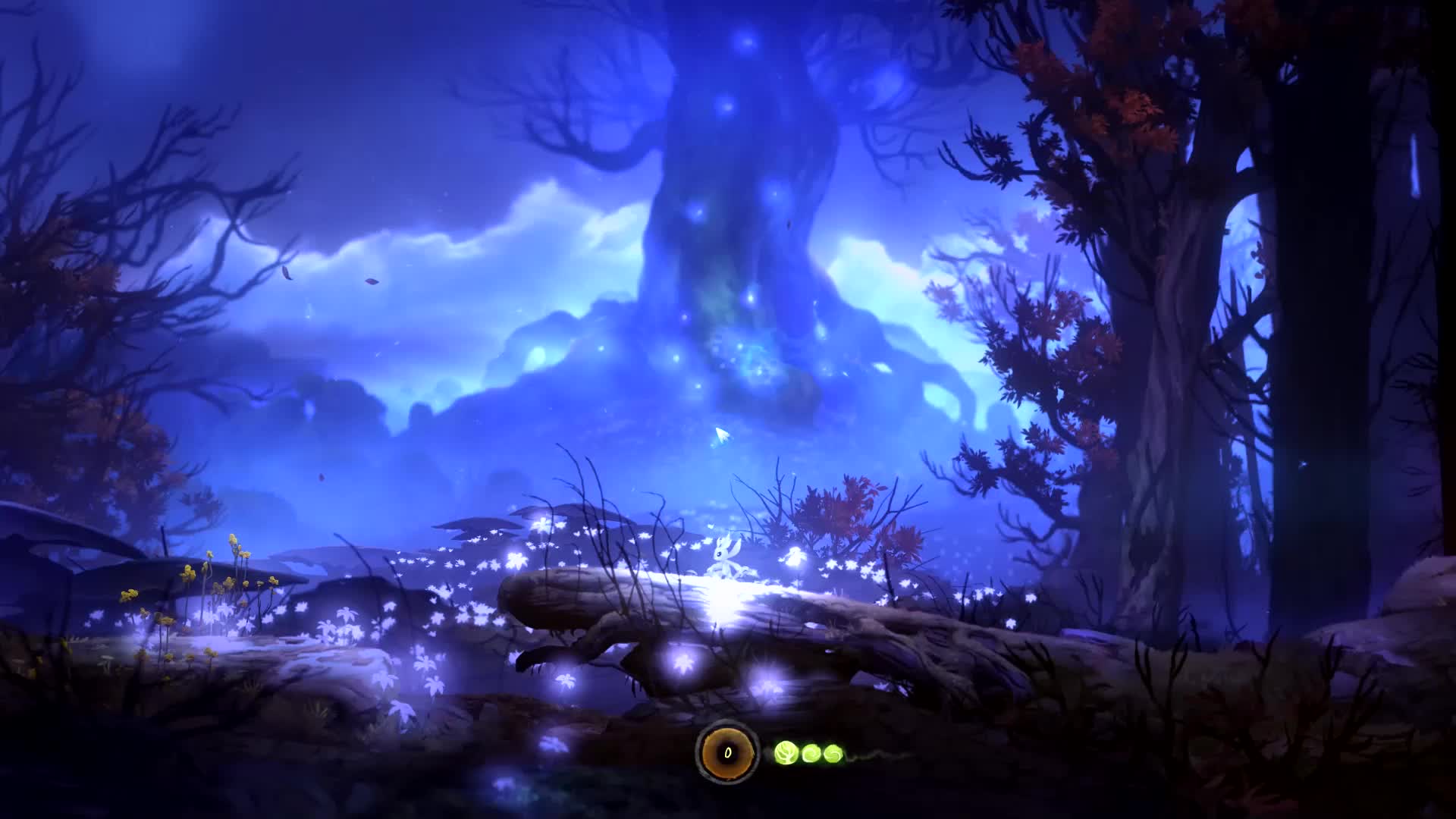 枕元实况《奥日与黑暗森林》第一期