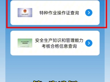 电工证查询方法哔哩哔哩bilibili