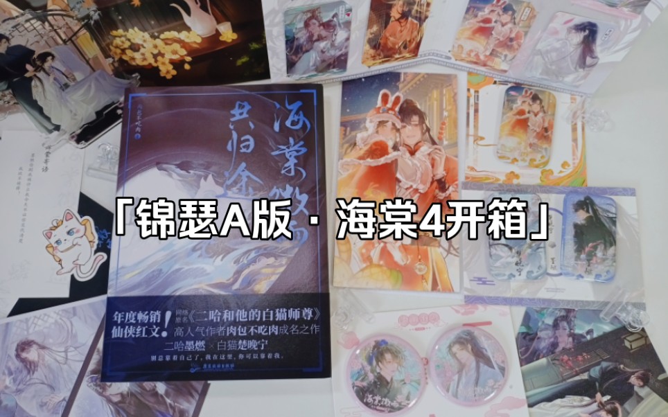 《海棠微雨共归途4》实体书锦瑟家开箱哔哩哔哩bilibili